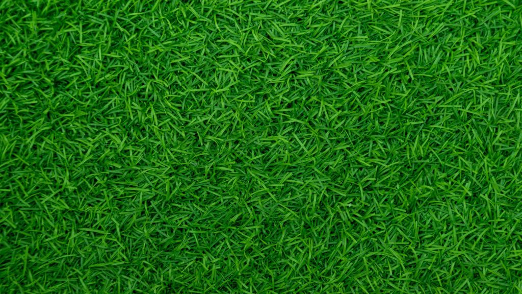 overhead photograph of perfectly green lawn
