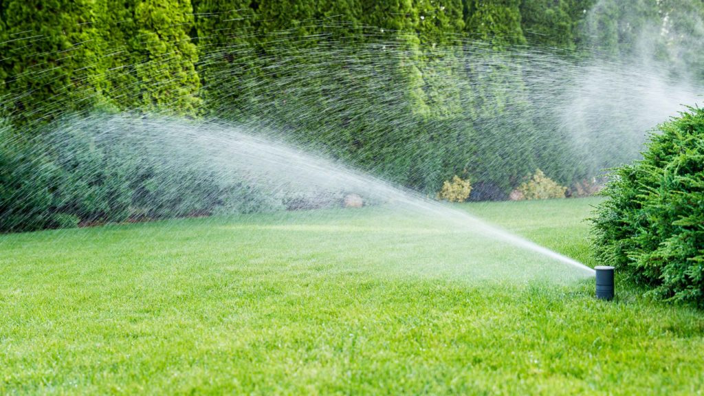 backyard automatic irrigation system watering grass