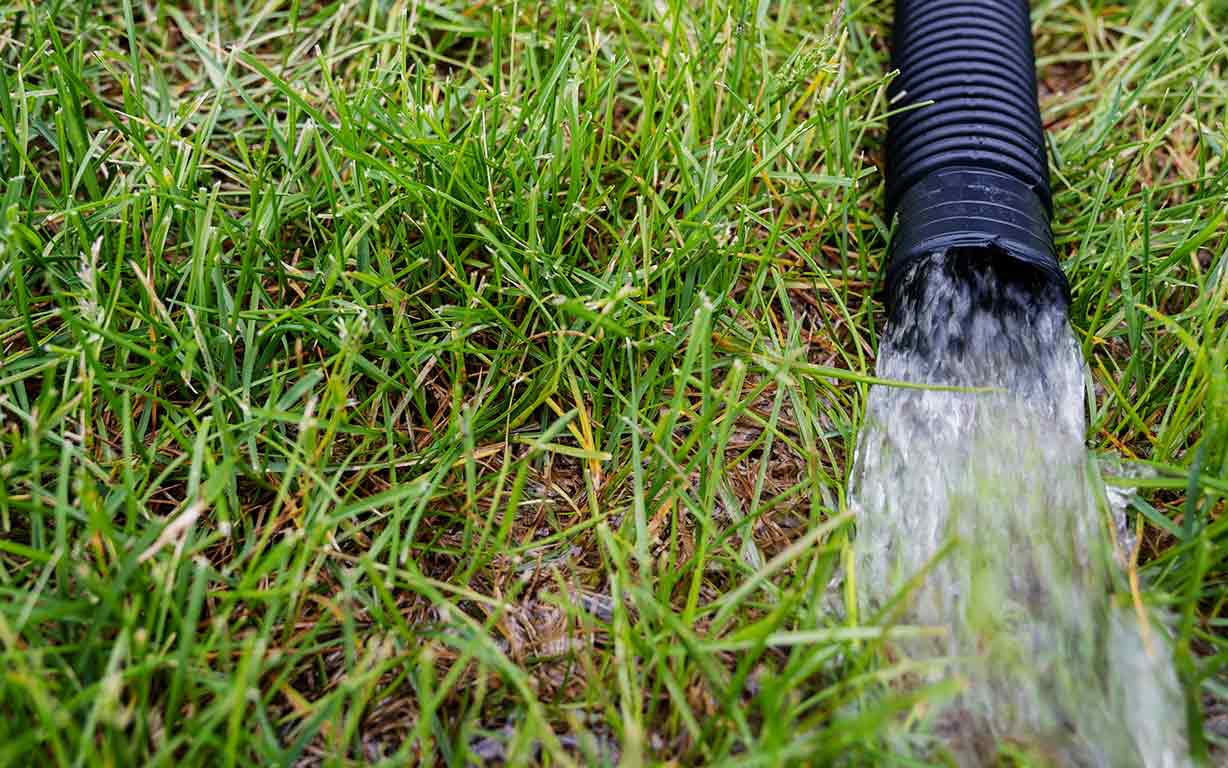 drainage pipe removing water from back yard lawn