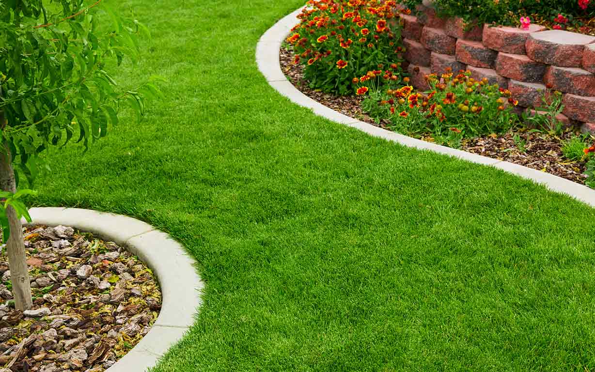 landscaped grass and planter beds