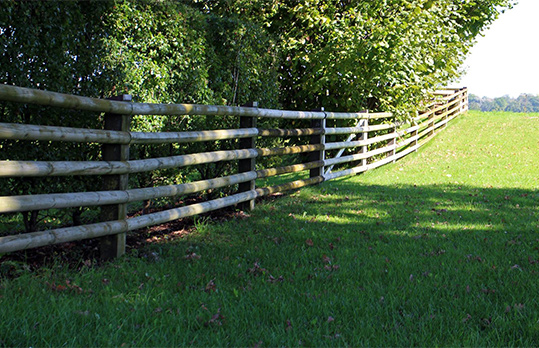 land clearing for fences