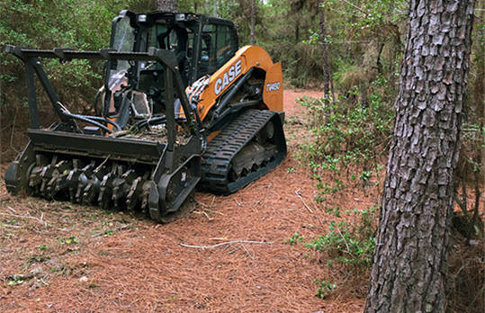 cedar removal mulching clearing