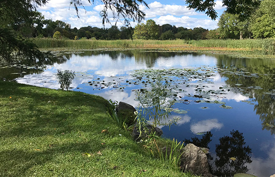 pond construction and removal services